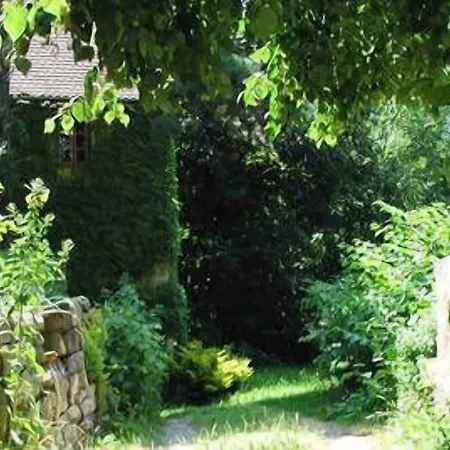 Gaestehaus Seraphinum 3* Dresde