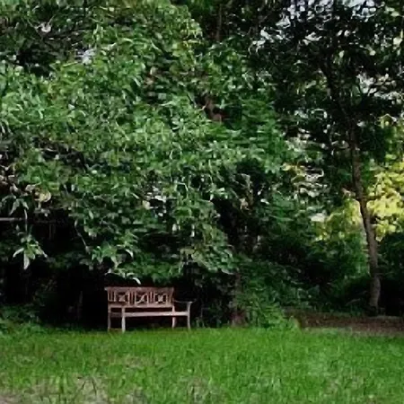 Gaestehaus Seraphinum ドレスデン